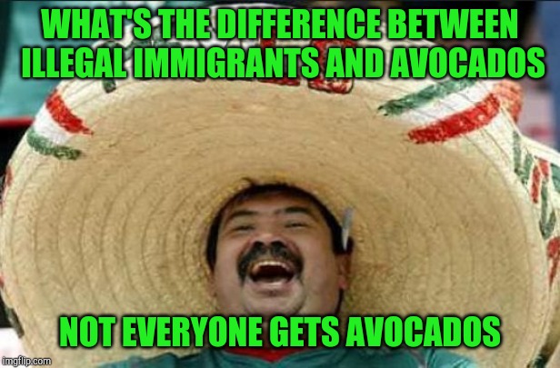 Mexican joke of the day | WHAT'S THE DIFFERENCE BETWEEN ILLEGAL IMMIGRANTS AND AVOCADOS; NOT EVERYONE GETS AVOCADOS | image tagged in mexican word of the day | made w/ Imgflip meme maker