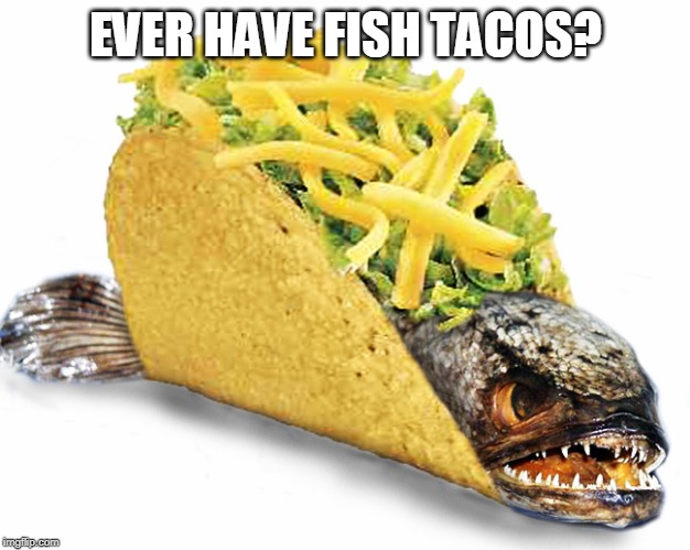 Fish Taco | EVER HAVE FISH TACOS? | image tagged in fish taco | made w/ Imgflip meme maker