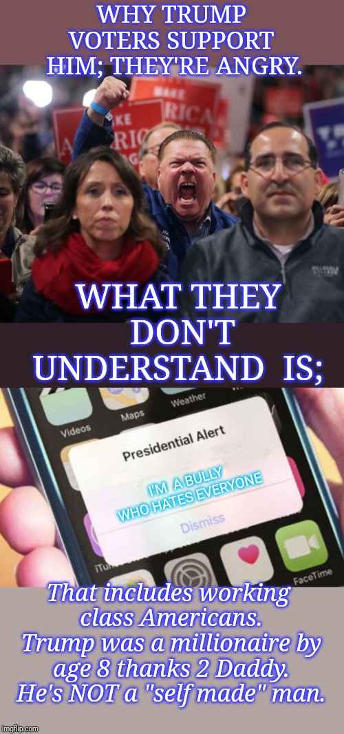 WHY TRUMP VOTERS SUPPORT  HIM; THEY'RE ANGRY. I'M  A BULLY WHO HATES EVERYONE WHAT THEY DON'T UNDERSTAND  IS; That includes working class Am | image tagged in memes,presidential alert,angry trump voter | made w/ Imgflip meme maker