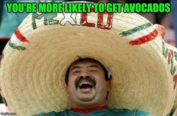mexican word of the day | YOU'RE MORE LIKELY TO GET AVOCADOS | image tagged in mexican word of the day | made w/ Imgflip meme maker