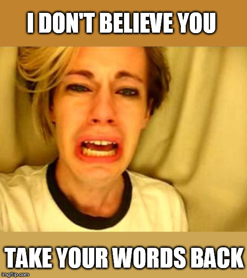 Leave Britney Alone | I DON'T BELIEVE YOU TAKE YOUR WORDS BACK | image tagged in leave britney alone | made w/ Imgflip meme maker