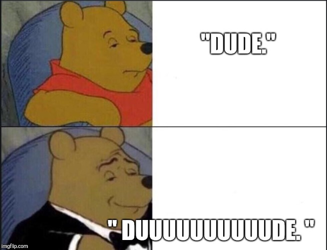 Tuxedo Winnie The Pooh | "DUDE."; " DUUUUUUUUUUDE. " | image tagged in winnie the pooh template | made w/ Imgflip meme maker