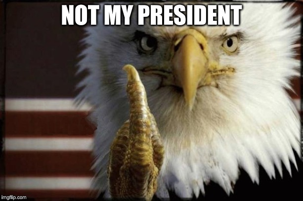 Eagle Middle Finger | NOT MY PRESIDENT | image tagged in eagle middle finger | made w/ Imgflip meme maker