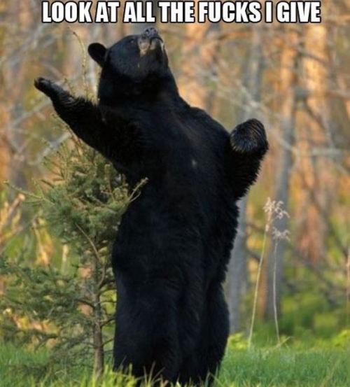 image tagged in funny,animals