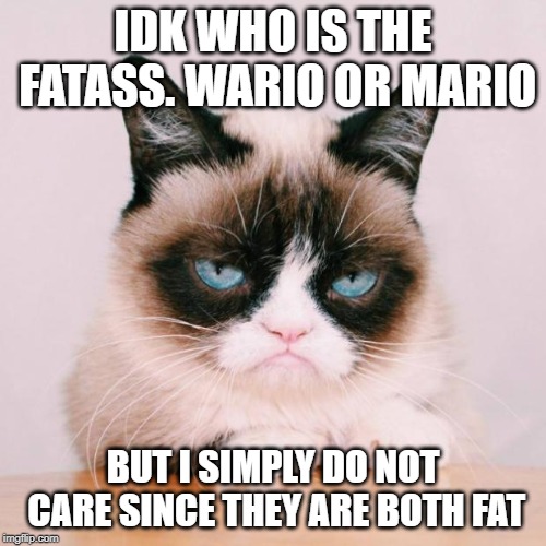 grumpy cat again | IDK WHO IS THE FATASS. WARIO OR MARIO; BUT I SIMPLY DO NOT CARE SINCE THEY ARE BOTH FAT | image tagged in grumpy cat again | made w/ Imgflip meme maker