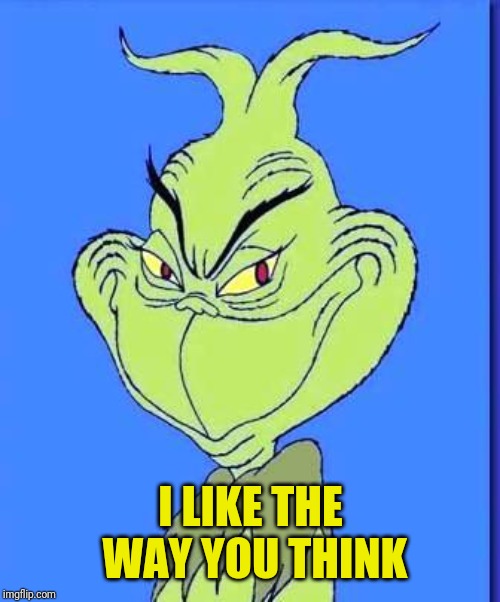 Good Grinch | I LIKE THE WAY YOU THINK | image tagged in good grinch | made w/ Imgflip meme maker