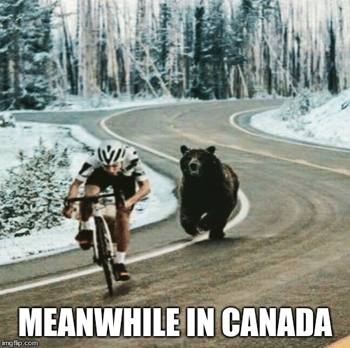 MEANWHILE IN CANADA | image tagged in meanwhile in canada | made w/ Imgflip meme maker