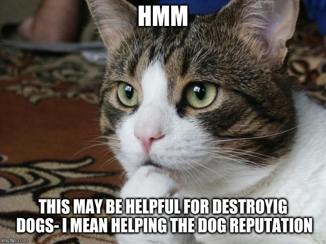 HMM THIS MAY BE HELPFUL FOR DESTROYIG DOGS- I MEAN HELPING THE DOG REPUTATION | made w/ Imgflip meme maker