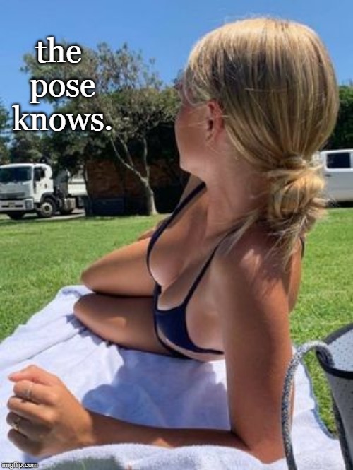 someone had a camera and a creative thought. | the pose knows. | image tagged in blonde babe,bikini girls,profile counts,legsetc,memes | made w/ Imgflip meme maker
