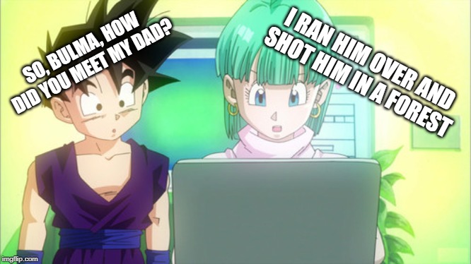 Gohan and Bulma | I RAN HIM OVER AND SHOT HIM IN A FOREST SO, BULMA, HOW DID YOU MEET MY DAD? | image tagged in gohan and bulma | made w/ Imgflip meme maker