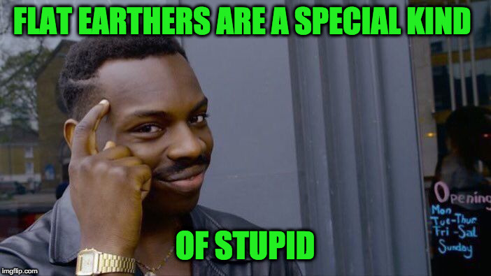 Roll Safe Think About It Meme | FLAT EARTHERS ARE A SPECIAL KIND OF STUPID | image tagged in memes,roll safe think about it | made w/ Imgflip meme maker