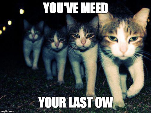 Wrong Neighboorhood Cats | YOU'VE MEED; YOUR LAST OW | image tagged in memes,wrong neighboorhood cats | made w/ Imgflip meme maker