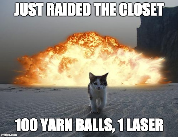 cat explosion | JUST RAIDED THE CLOSET; 100 YARN BALLS, 1 LASER | image tagged in cat explosion | made w/ Imgflip meme maker