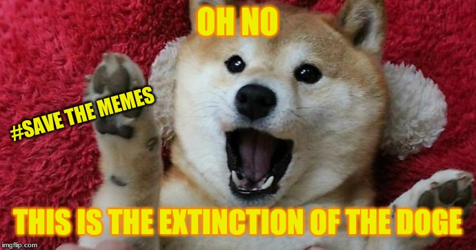 OH NO THIS IS THE EXTINCTION OF THE DOGE #SAVE THE
MEMES | made w/ Imgflip meme maker