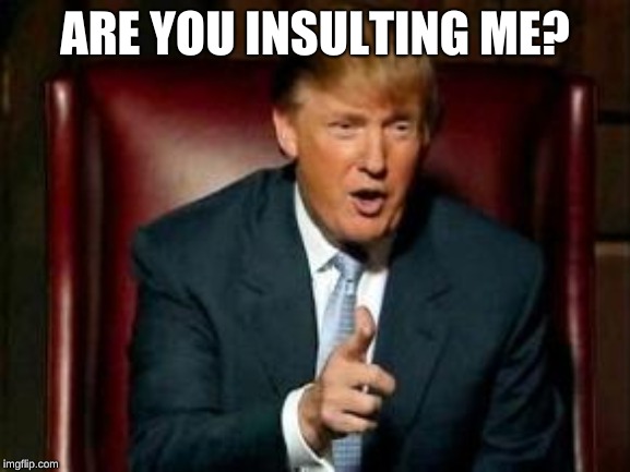 Donald Trump | ARE YOU INSULTING ME? | image tagged in donald trump | made w/ Imgflip meme maker