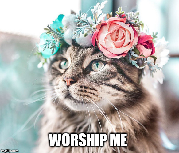 WORSHIP ME | image tagged in queen | made w/ Imgflip meme maker