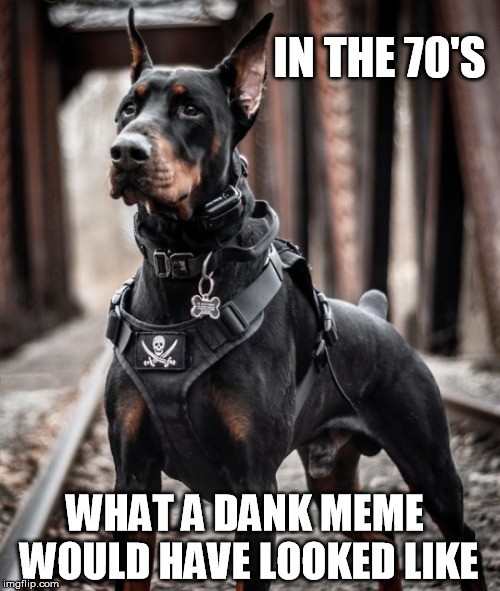 doberman Gang | IN THE 70'S; WHAT A DANK MEME WOULD HAVE LOOKED LIKE | image tagged in doggos | made w/ Imgflip meme maker