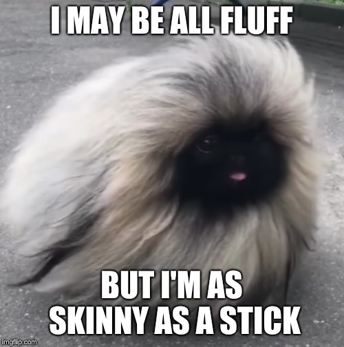 I MAY BE ALL FLUFF BUT I'M AS SKINNY AS A STICK | made w/ Imgflip meme maker