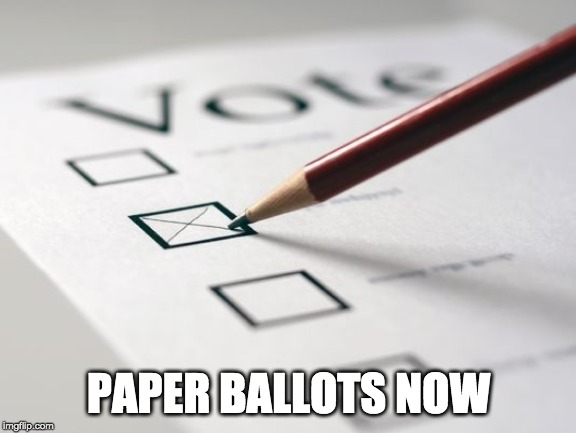 Voting Ballot | PAPER BALLOTS NOW | image tagged in voting ballot | made w/ Imgflip meme maker