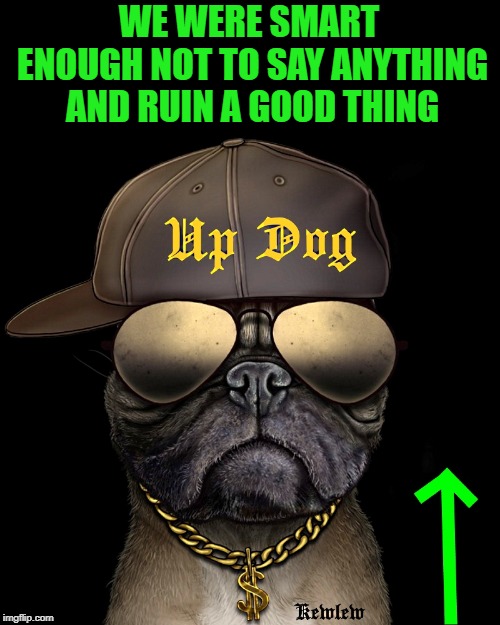 up dog | WE WERE SMART ENOUGH NOT TO SAY ANYTHING AND RUIN A GOOD THING | image tagged in up dog | made w/ Imgflip meme maker