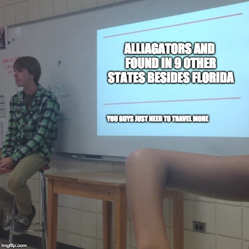 You Guys Are Just Mean | ALLIAGATORS AND FOUND IN 9 OTHER STATES BESIDES FLORIDA; YOU GUYS JUST NEED TO TRAVEL MORE | image tagged in you guys are just mean | made w/ Imgflip meme maker