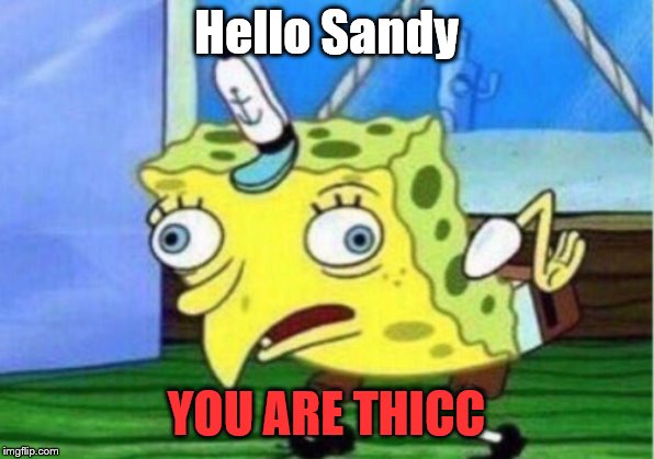 Mocking Spongebob | Hello Sandy; YOU ARE THICC | image tagged in memes,mocking spongebob | made w/ Imgflip meme maker