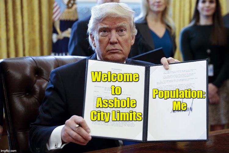 Donald Trump Executive Order | Population: Me; Welcome to Asshole City Limits | image tagged in donald trump executive order | made w/ Imgflip meme maker