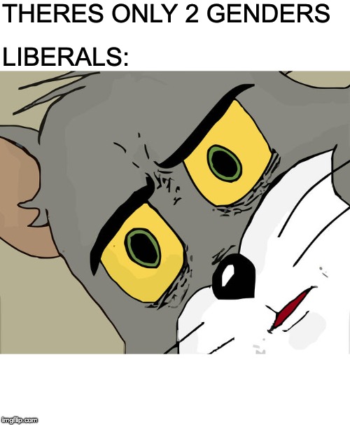 Unsettled Tom | THERES ONLY 2 GENDERS; LIBERALS: | image tagged in memes,unsettled tom | made w/ Imgflip meme maker