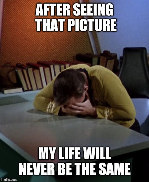 Kirk face in hands | AFTER SEEING THAT PICTURE MY LIFE WILL NEVER BE THE SAME | image tagged in kirk face in hands | made w/ Imgflip meme maker