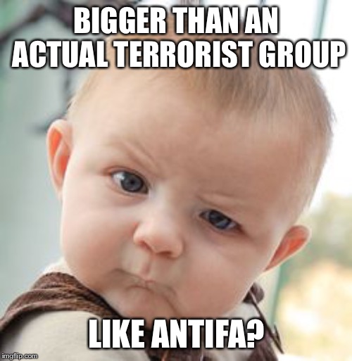 Skeptical Baby Meme | BIGGER THAN AN ACTUAL TERRORIST GROUP LIKE ANTIFA? | image tagged in memes,skeptical baby | made w/ Imgflip meme maker