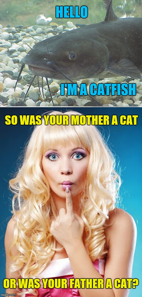 30++ Funny Memes Catfish Meme - Factory Memes