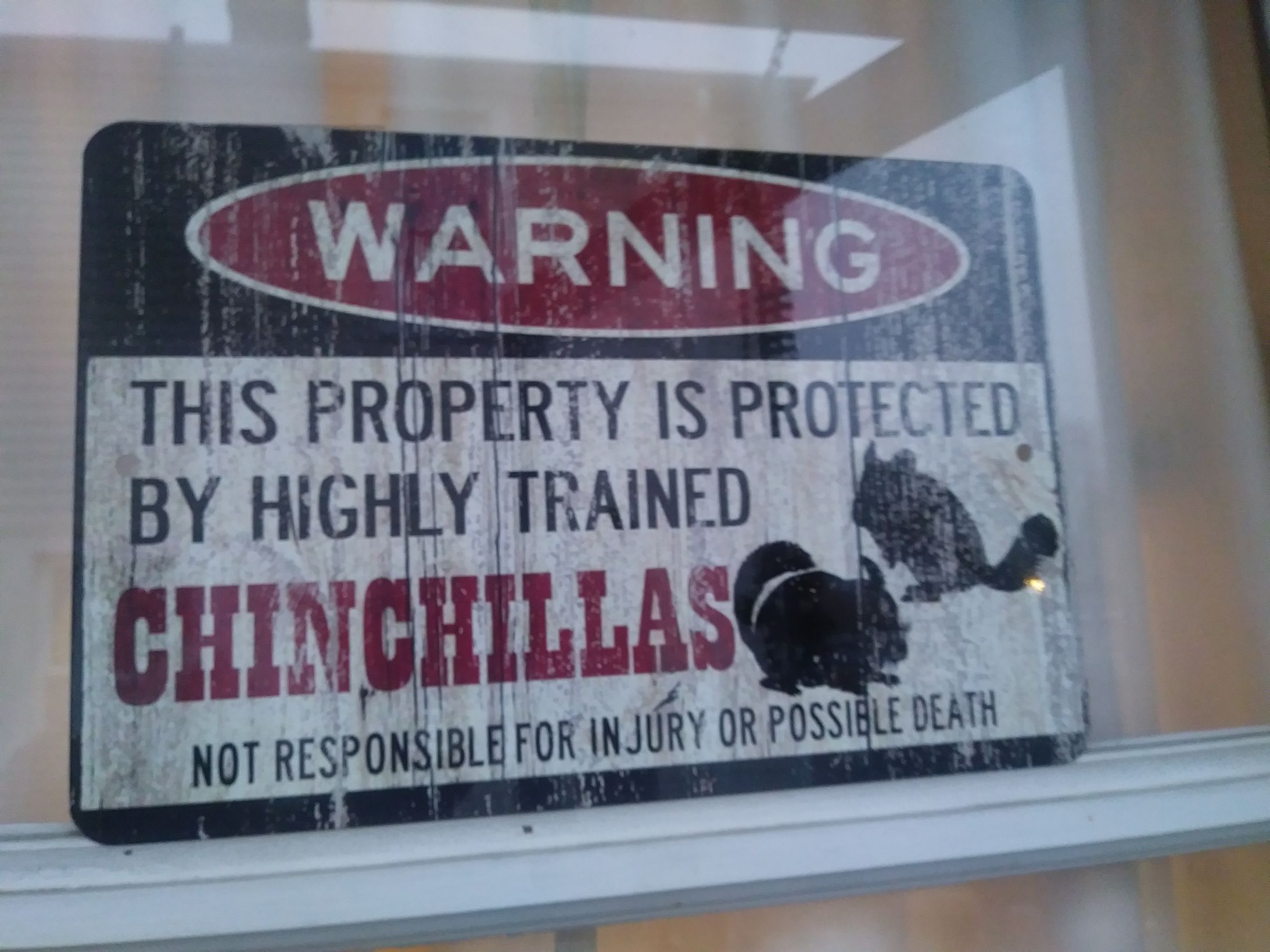 High Quality Chinchilla Ninjas Blank Meme Template