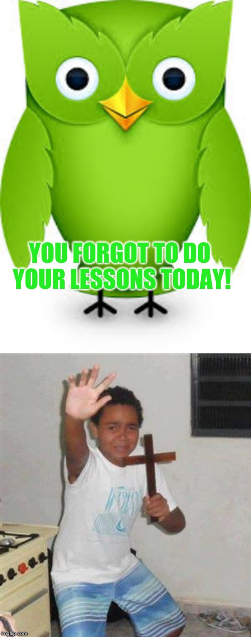 LEAVE THOSE KIDS ALONE | YOU FORGOT TO DO YOUR LESSONS TODAY! | image tagged in scared kid,duolingo owl | made w/ Imgflip meme maker