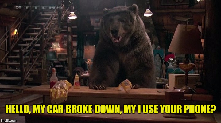 HELLO, MY CAR BROKE DOWN, MY I USE YOUR PHONE? | image tagged in animal meme,bear | made w/ Imgflip meme maker