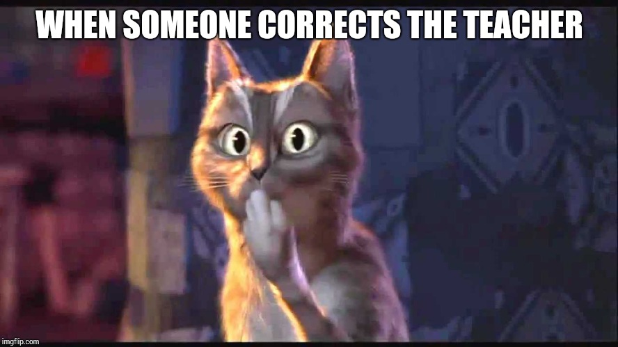 Oooh Cat | WHEN SOMEONE CORRECTS THE TEACHER | image tagged in oooh cat,trouble,school,lol | made w/ Imgflip meme maker