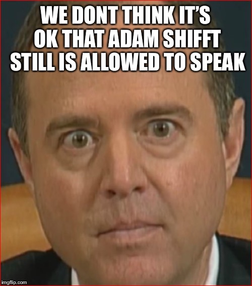 Adam Schiff has committed TREASON | WE DONT THINK IT’S OK THAT ADAM SHIFFT STILL IS ALLOWED TO SPEAK | image tagged in adam schiff,treason,enemy of usa | made w/ Imgflip meme maker