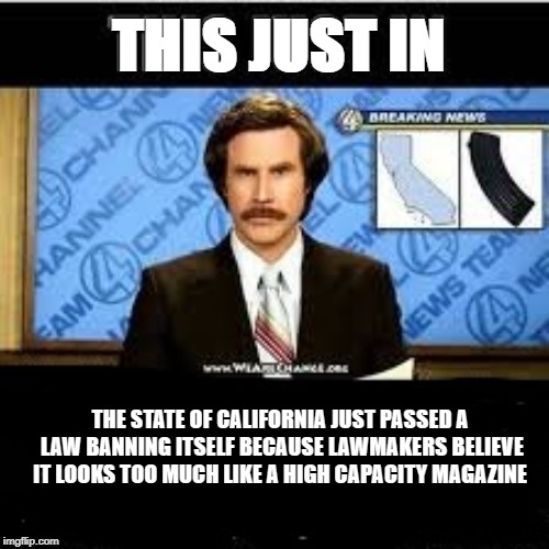 Good old America | THIS JUST IN; THE STATE OF CALIFORNIA JUST PASSED A LAW BANNING ITSELF BECAUSE LAWMAKERS BELIEVE IT LOOKS TOO MUCH LIKE A HIGH CAPACITY MAGAZINE | image tagged in guns,oof,smart,nice | made w/ Imgflip meme maker