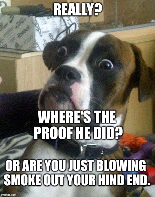 Surprised Dog | REALLY? WHERE'S THE PROOF HE DID? OR ARE YOU JUST BLOWING SMOKE OUT YOUR HIND END. | image tagged in surprised dog | made w/ Imgflip meme maker