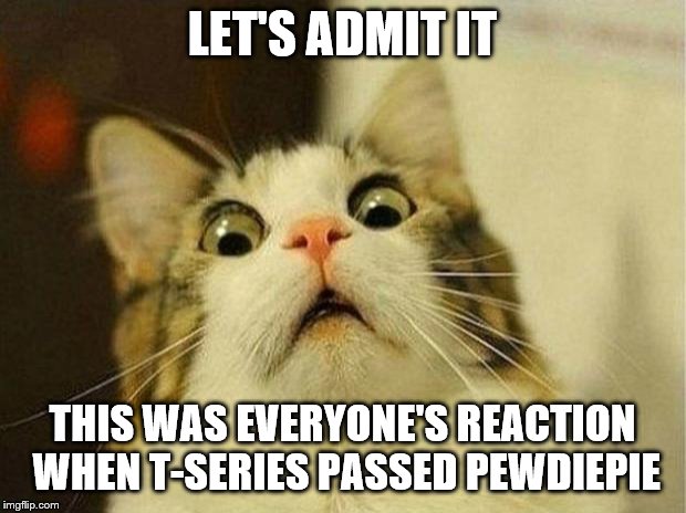 Scared Cat | LET'S ADMIT IT; THIS WAS EVERYONE'S REACTION WHEN T-SERIES PASSED PEWDIEPIE | image tagged in memes,scared cat | made w/ Imgflip meme maker