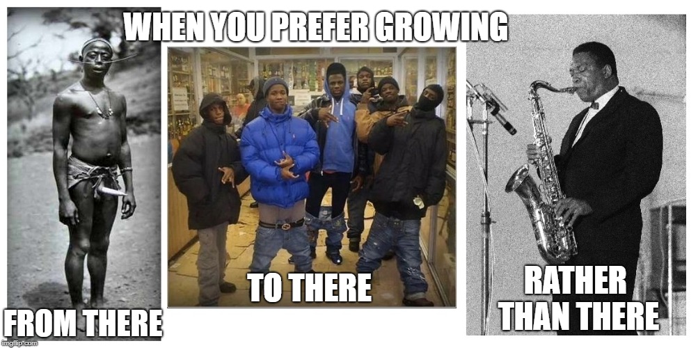 WHEN YOU PREFER GROWING; TO THERE; FROM
THERE; RATHER THAN THERE | made w/ Imgflip meme maker