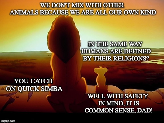 Lion King Meme | WE DON'T MIX WITH OTHER ANIMALS BECAUSE WE ARE ALL OUR OWN KIND; IN THE SAME WAY HUMANS ARE DEFINED BY THEIR RELIGIONS? YOU CATCH ON QUICK SIMBA; WELL WITH SAFETY IN MIND, IT IS COMMON SENSE, DAD! | image tagged in memes,lion king | made w/ Imgflip meme maker