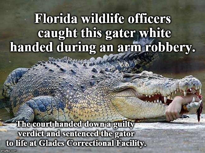 If you had only called Troy Landry! | Florida wildlife officers caught this gater white handed during an arm robbery. The court handed down a guilty verdict and sentenced the gator to life at Glades Correctional Facility. | image tagged in does he bite | made w/ Imgflip meme maker