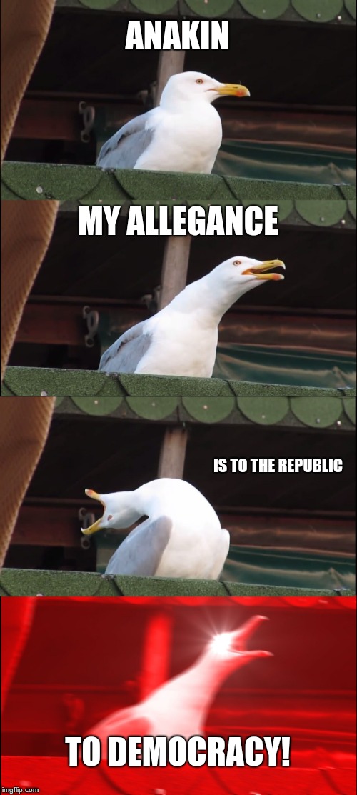 Inhaling Seagull | ANAKIN; MY ALLEGANCE; IS TO THE REPUBLIC; TO DEMOCRACY! | image tagged in memes,inhaling seagull | made w/ Imgflip meme maker