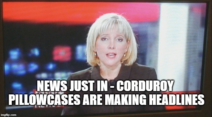 newsreader | NEWS JUST IN - CORDUROY PILLOWCASES ARE MAKING HEADLINES | image tagged in newsreader | made w/ Imgflip meme maker