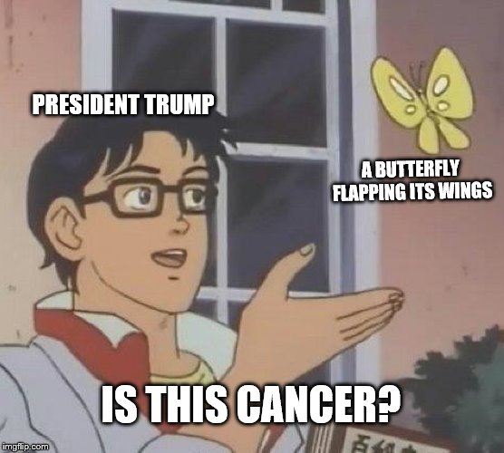 Wind Tumors | PRESIDENT TRUMP; A BUTTERFLY FLAPPING ITS WINGS; IS THIS CANCER? | image tagged in memes,is this a pigeon | made w/ Imgflip meme maker