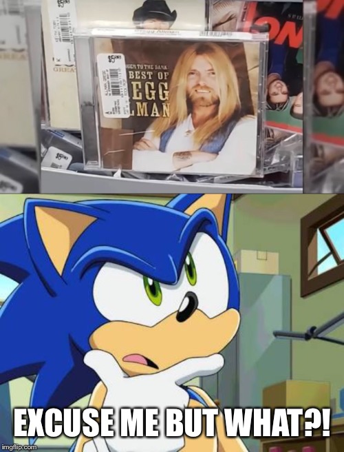 *Sonic is quaking* | EXCUSE ME BUT WHAT?! | image tagged in sonic the hedgehog,eggman | made w/ Imgflip meme maker