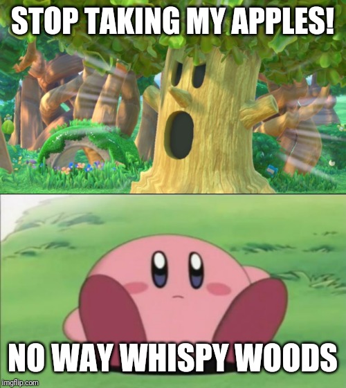 Whispy Woods is not a giving tree | STOP TAKING MY APPLES! NO WAY WHISPY WOODS | image tagged in kirby,whispy woods screaming,whispy woods,memes,funny | made w/ Imgflip meme maker