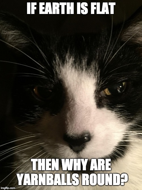 Skeptical Cat | IF EARTH IS FLAT; THEN WHY ARE YARNBALLS ROUND? | image tagged in skeptical cat | made w/ Imgflip meme maker