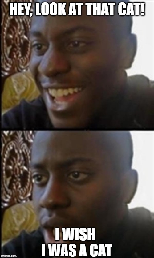 Happy and sad guy | HEY, LOOK AT THAT CAT! I WISH I WAS A CAT | image tagged in happy and sad guy | made w/ Imgflip meme maker