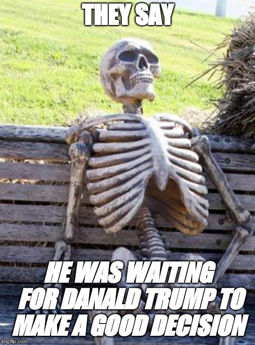 Waiting Skeleton | THEY SAY; HE WAS WAITING FOR DANALD TRUMP TO MAKE A GOOD DECISION | image tagged in memes,waiting skeleton | made w/ Imgflip meme maker
